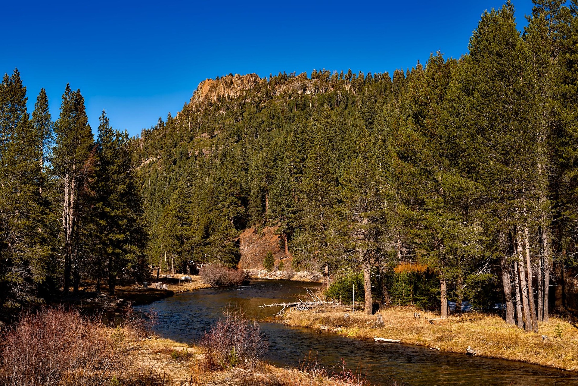 The Truckee River during Fall in Truckee 
