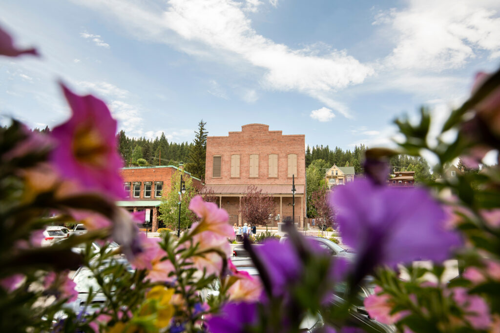 Beautiful pink flowers frame the historic gold rush era architecture of downtown Truckee, California, USA.