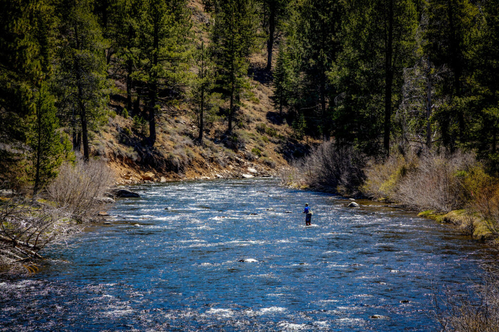 Truckee River Regional Park