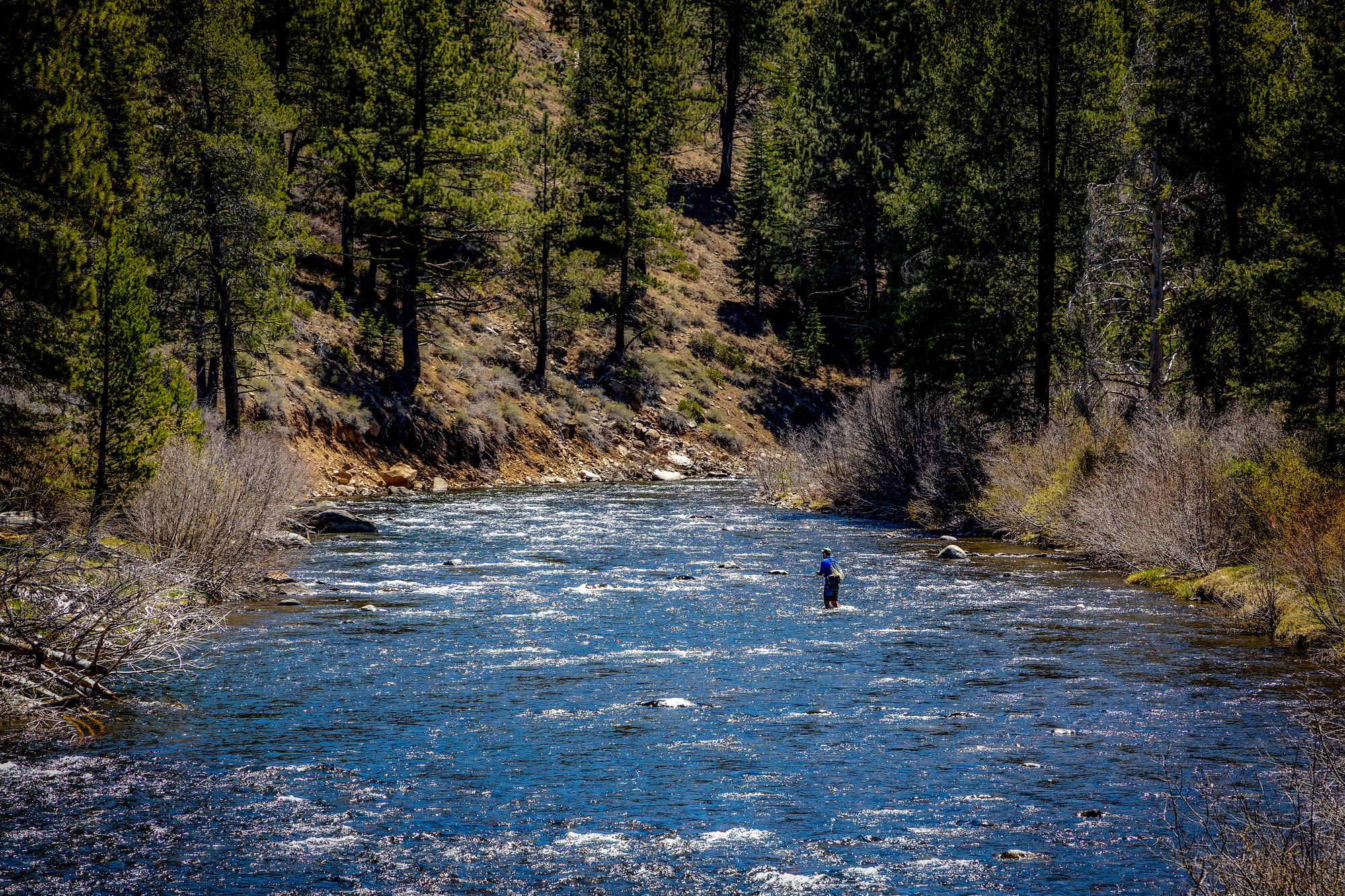 Truckee River Regional Park